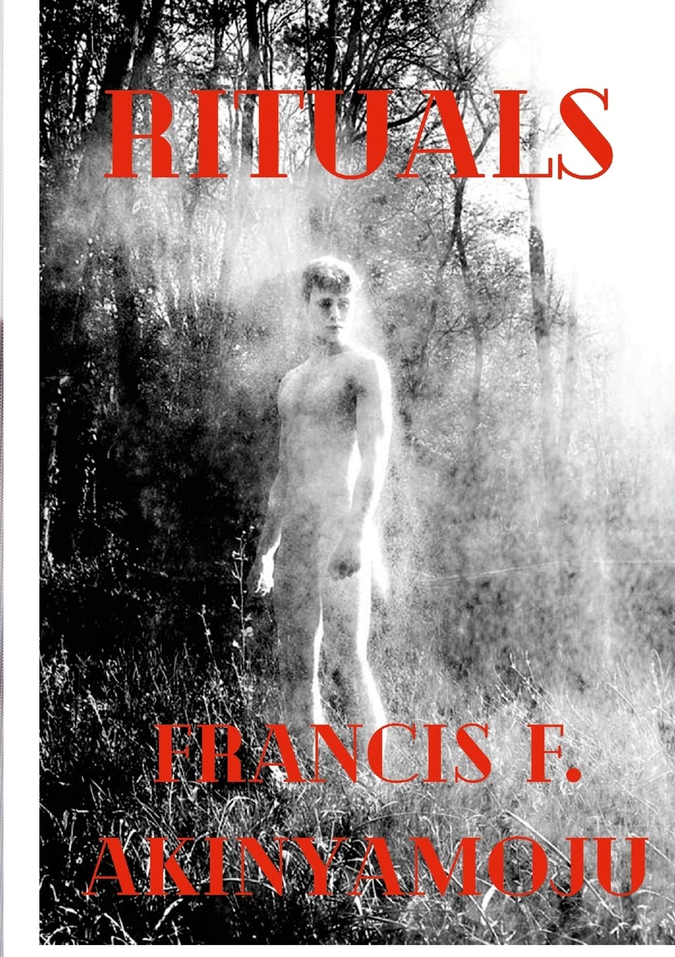 Rituals Book Cover